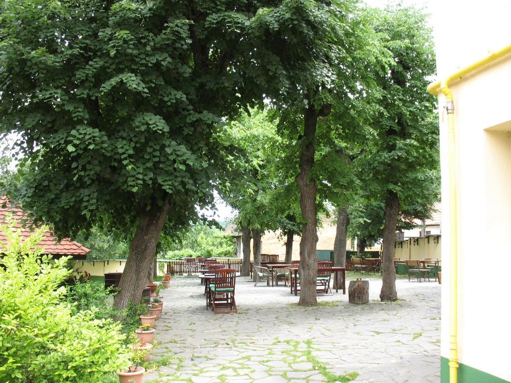 Pensiunea Sub Cetate Cisnădie Kültér fotó
