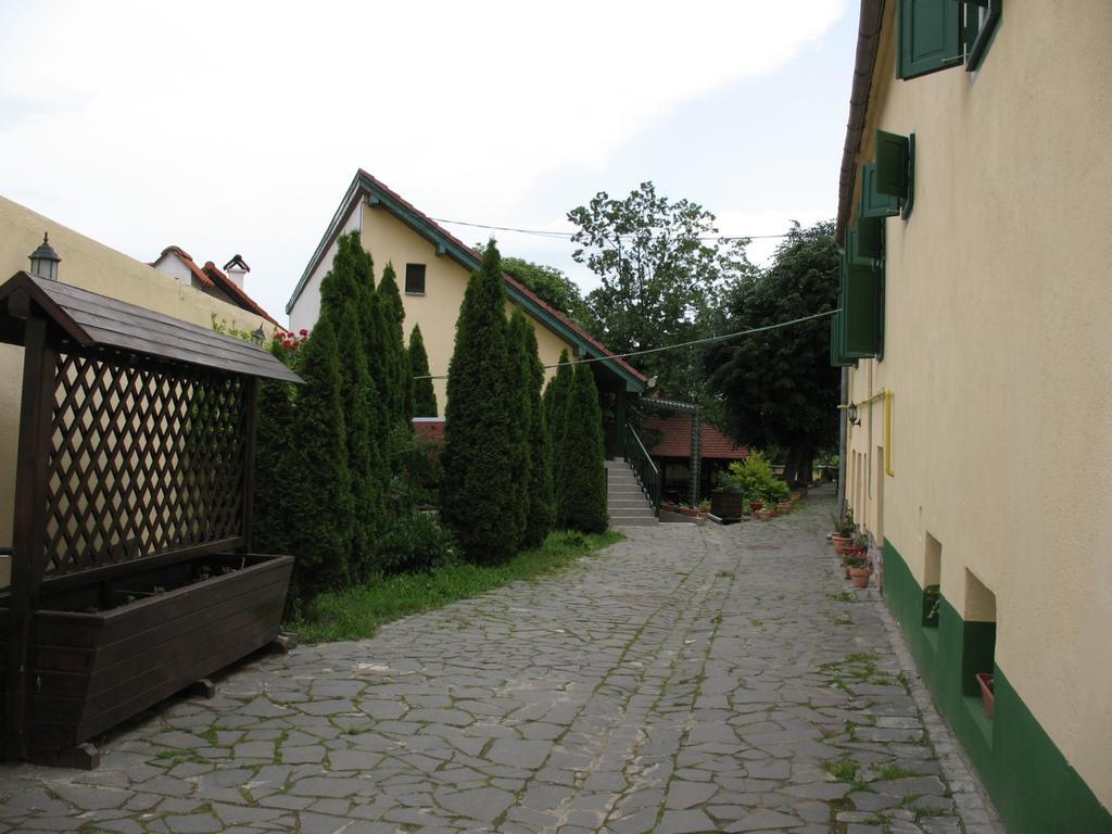 Pensiunea Sub Cetate Cisnădie Kültér fotó