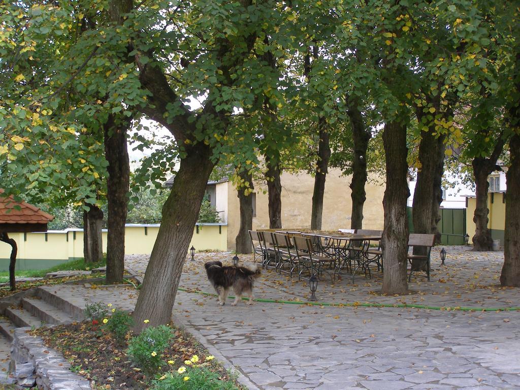 Pensiunea Sub Cetate Cisnădie Kültér fotó
